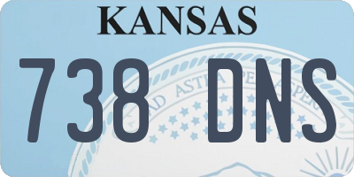 KS license plate 738DNS
