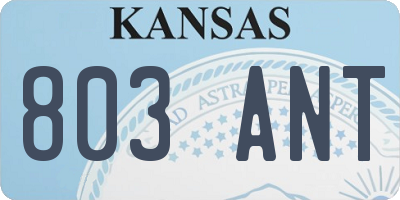 KS license plate 803ANT