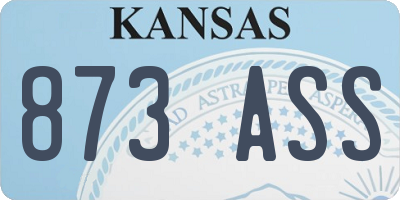 KS license plate 873ASS