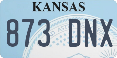 KS license plate 873DNX