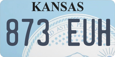 KS license plate 873EUH