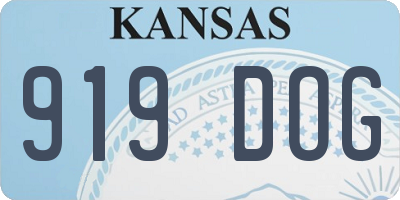 KS license plate 919DOG