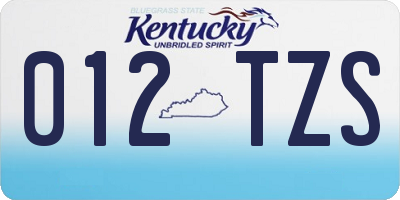 KY license plate 012TZS