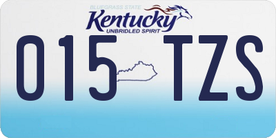KY license plate 015TZS