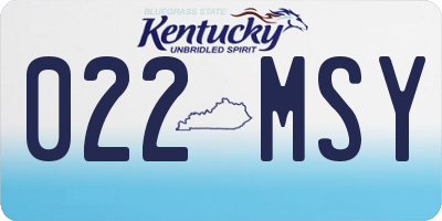 KY license plate 022MSY