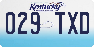 KY license plate 029TXD