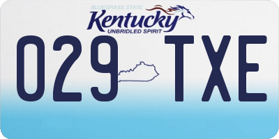 KY license plate 029TXE
