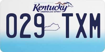 KY license plate 029TXM