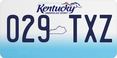 KY license plate 029TXZ