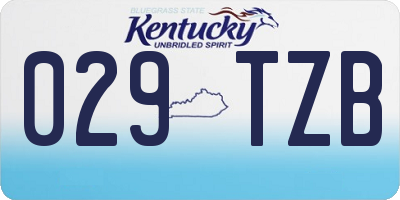 KY license plate 029TZB