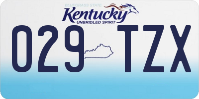 KY license plate 029TZX