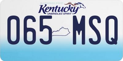 KY license plate 065MSQ
