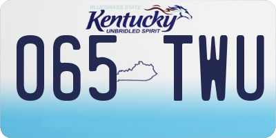 KY license plate 065TWU