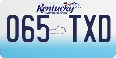KY license plate 065TXD