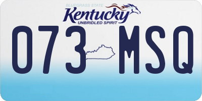 KY license plate 073MSQ