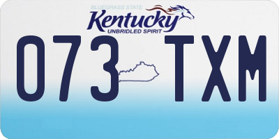 KY license plate 073TXM