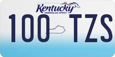 KY license plate 100TZS