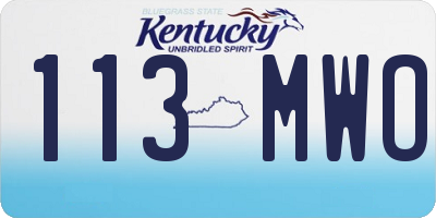 KY license plate 113MWO
