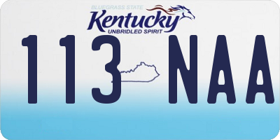 KY license plate 113NAA