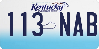 KY license plate 113NAB