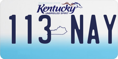 KY license plate 113NAY