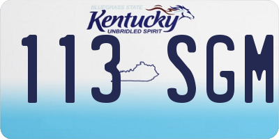 KY license plate 113SGM