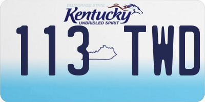 KY license plate 113TWD