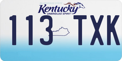 KY license plate 113TXK