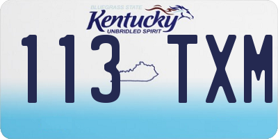 KY license plate 113TXM