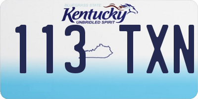 KY license plate 113TXN