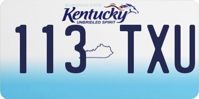 KY license plate 113TXU
