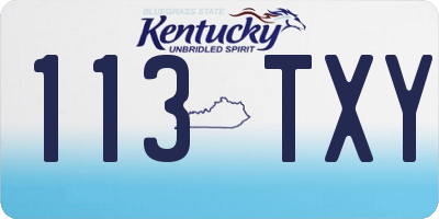 KY license plate 113TXY