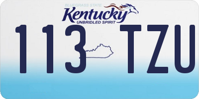 KY license plate 113TZU