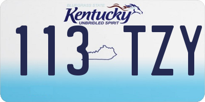 KY license plate 113TZY