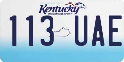 KY license plate 113UAE