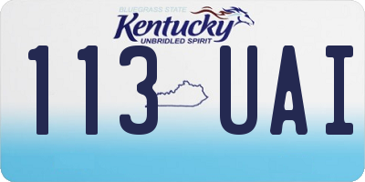 KY license plate 113UAI