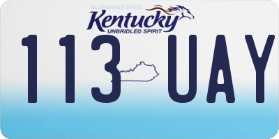 KY license plate 113UAY