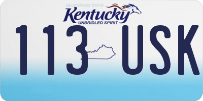 KY license plate 113USK