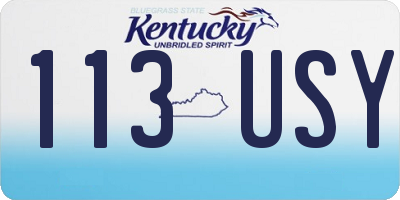 KY license plate 113USY