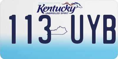 KY license plate 113UYB