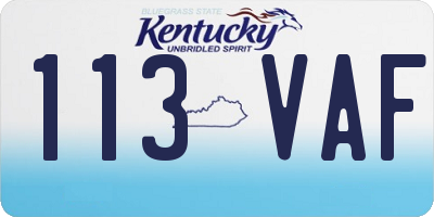 KY license plate 113VAF