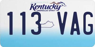 KY license plate 113VAG
