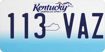 KY license plate 113VAZ