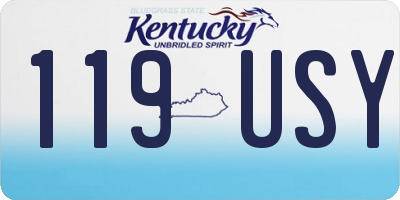 KY license plate 119USY