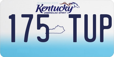 KY license plate 175TUP