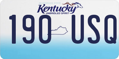 KY license plate 190USQ