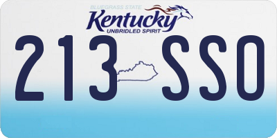 KY license plate 213SSO