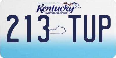 KY license plate 213TUP
