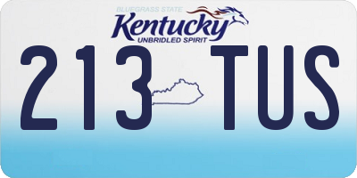 KY license plate 213TUS