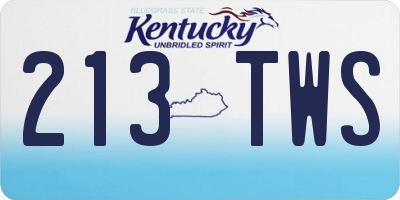 KY license plate 213TWS